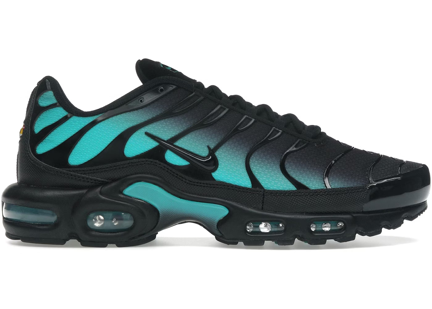 Black Dusty Cactus